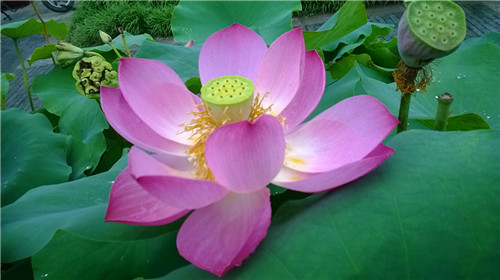 medialib_camera roll_wp_20140630_002_.jpg