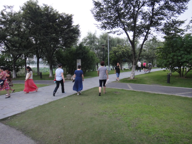 dsc03905.jpg