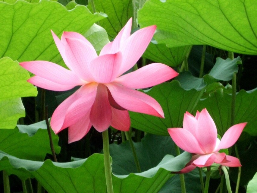 qqͼƬ20140707175637.jpg