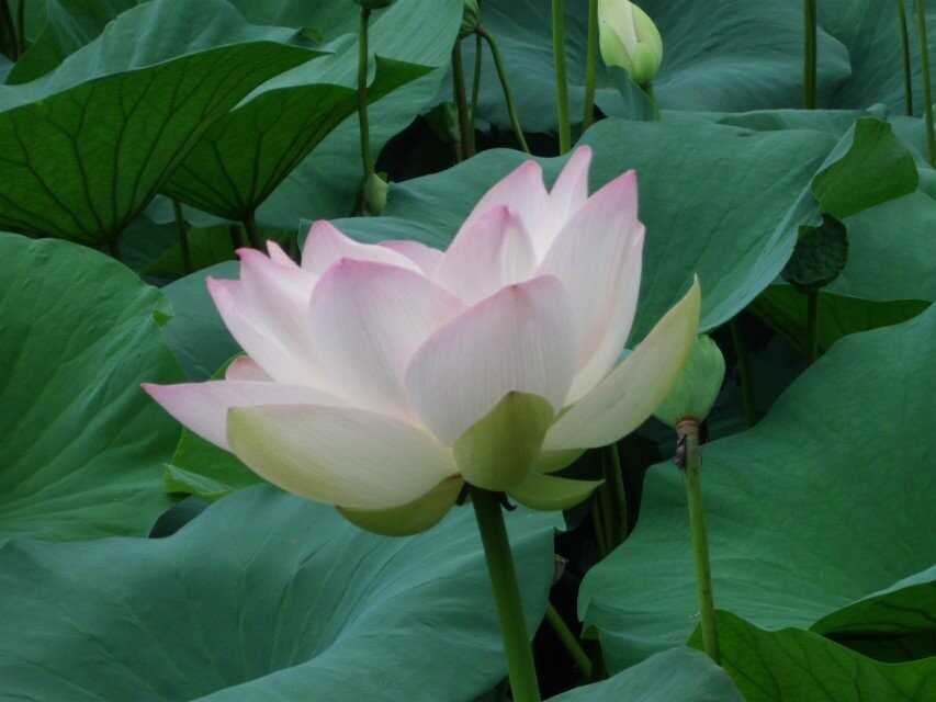 qqͼƬ20140707175721.jpg