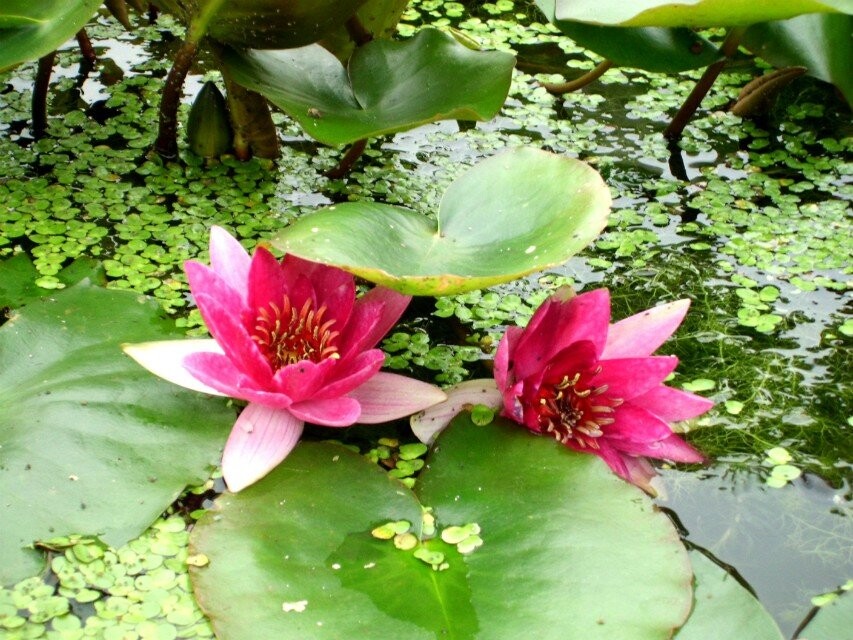 qqͼƬ20140707175710.jpg