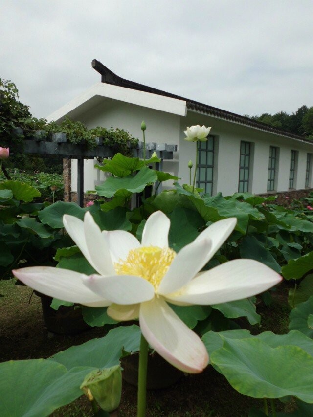 qqͼƬ20140707175803.jpg
