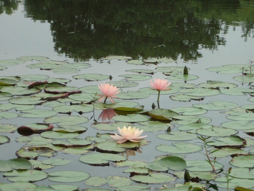 qqͼƬ20140707175859.jpg