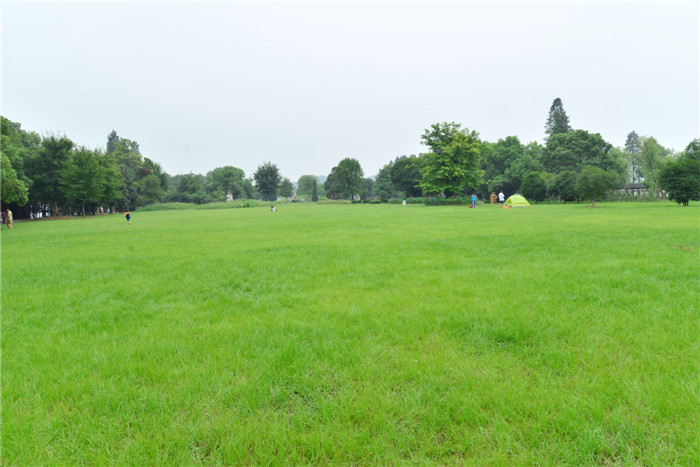 dsc_1123_.jpg