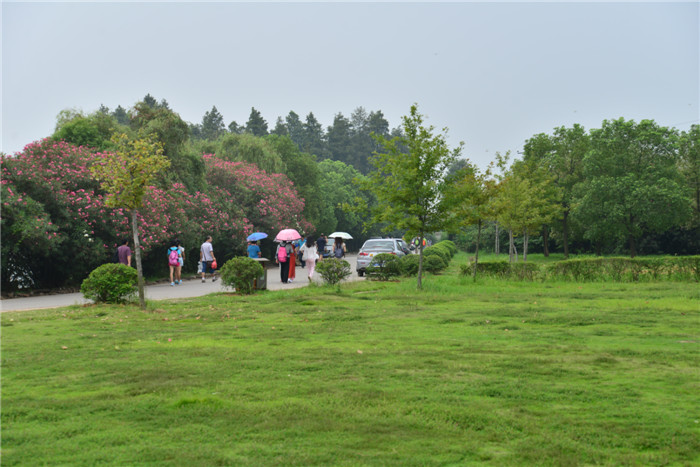 dsc_1184_.jpg