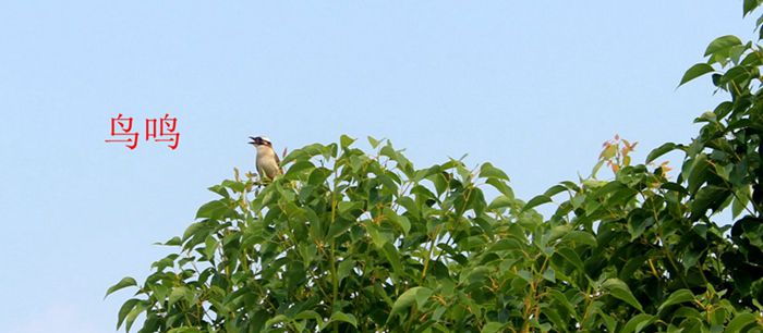 img_5217.jpg