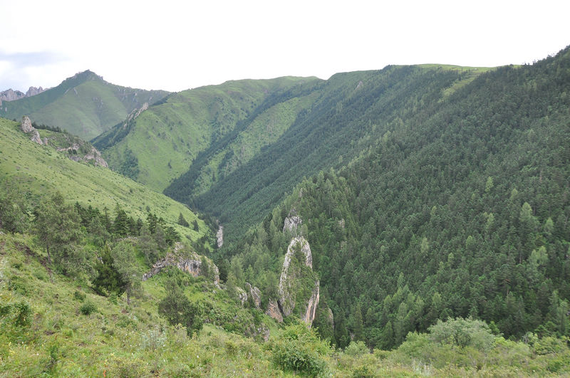 dsc_1016.jpg