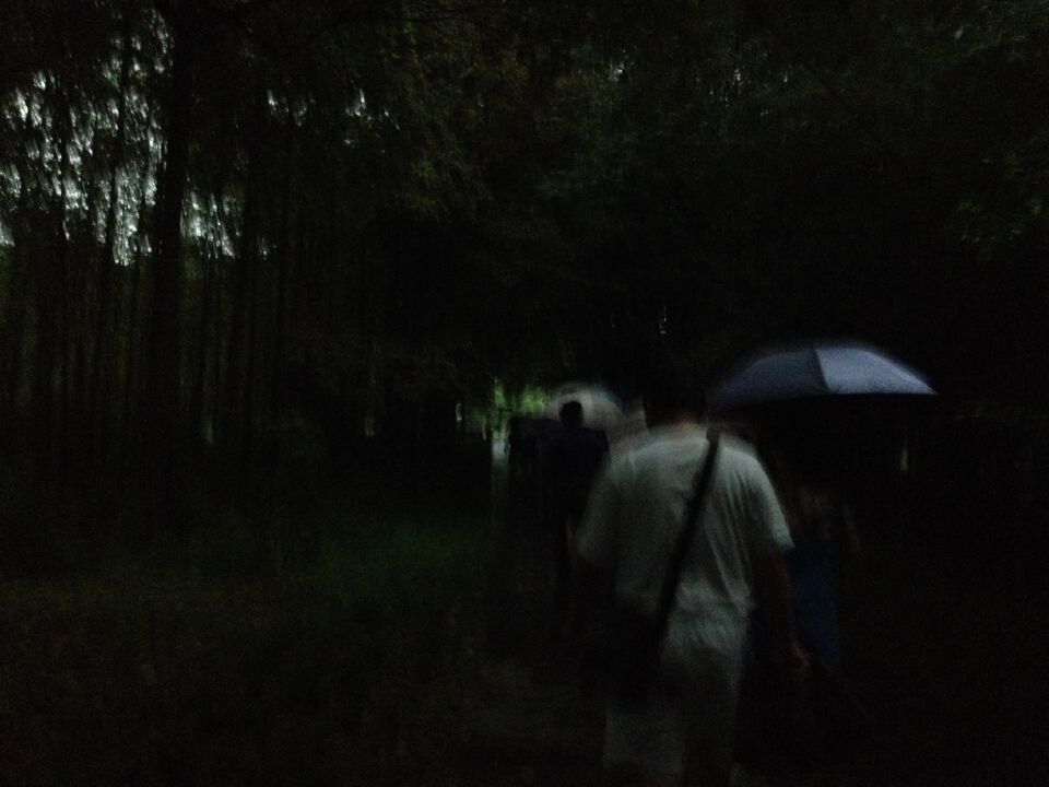 qqͼƬ20140831211840.jpg