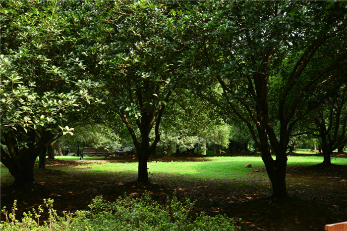 dsc_1055_.jpg