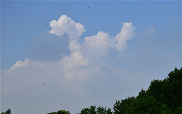 dsc_1089_.jpg