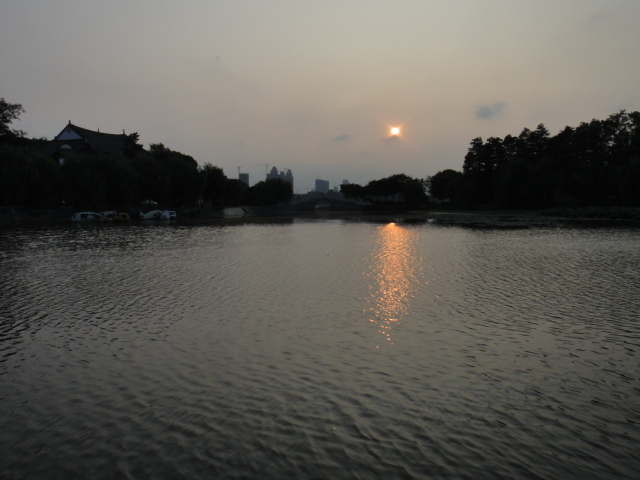 dsc04216.jpg