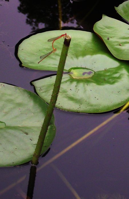 dscf8031.jpg