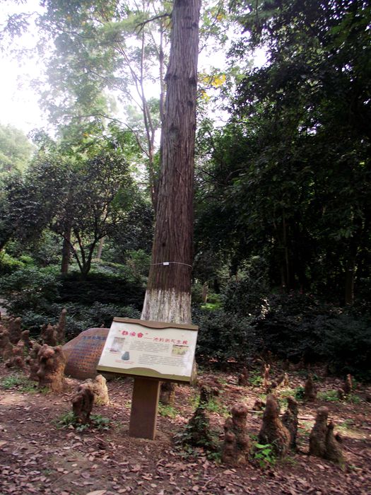 dscf8061.jpg