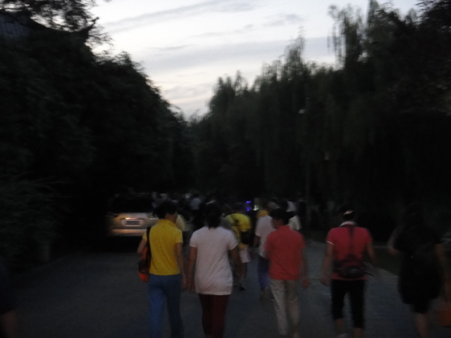 dsc04486.jpg