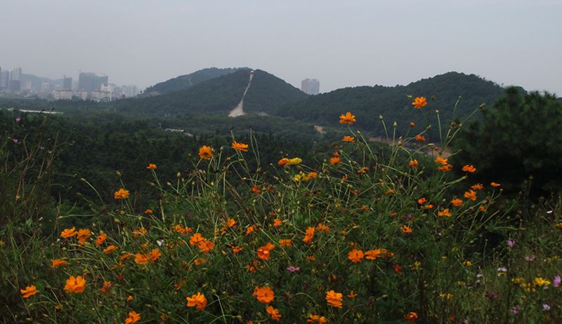 dscf8043.jpg