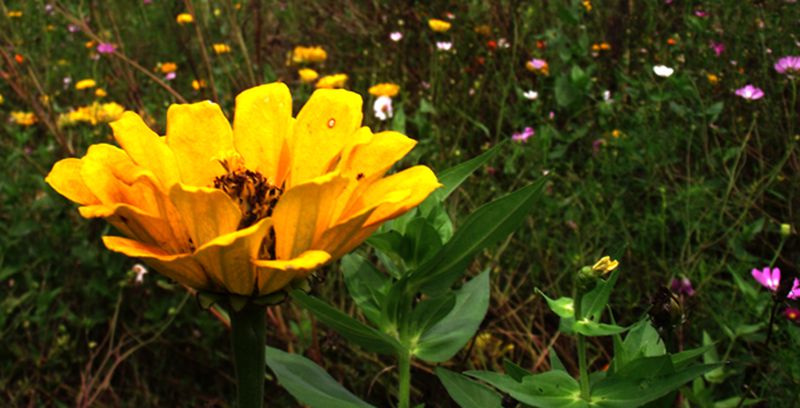 dscf8054.jpg
