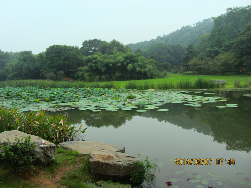 t0907 001_.jpg