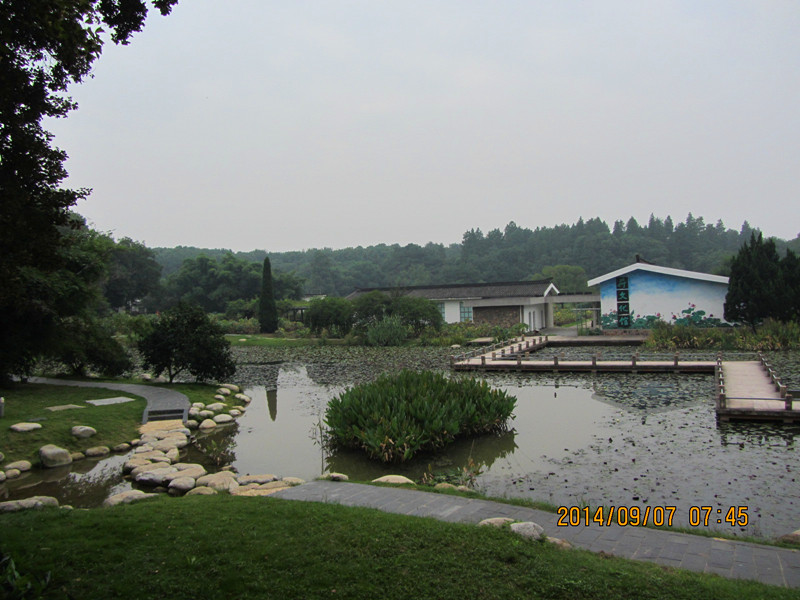 t0907 005_.jpg