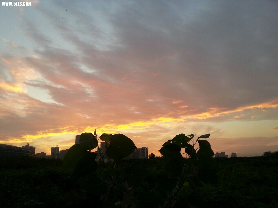 QQͼƬ20140718073921.jpg