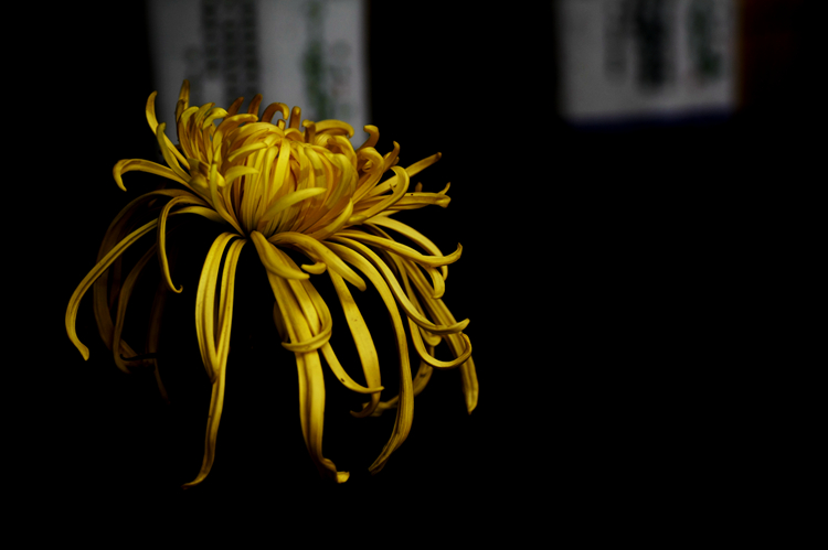 _MG_7717_.jpg