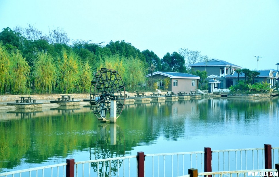 20130821120345_4956.jpg