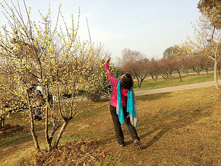 qqͼƬ20150111120417_.jpg
