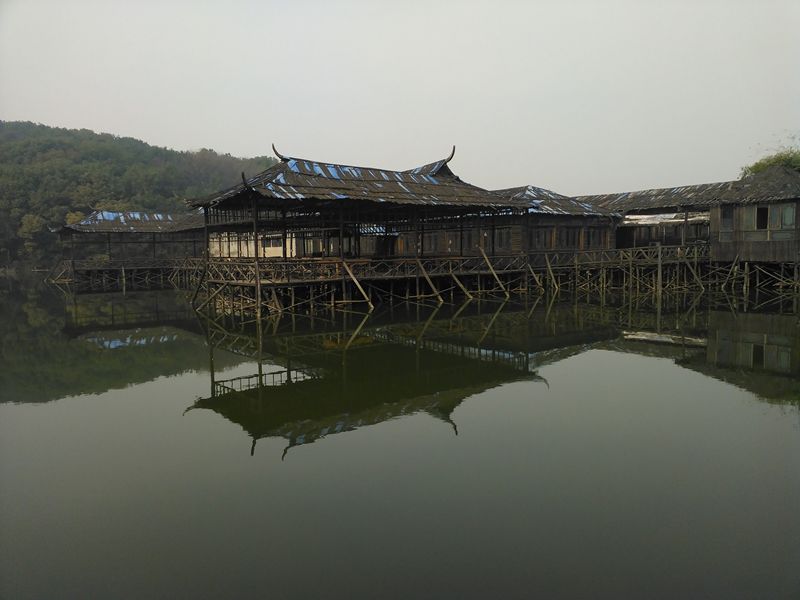 img_20150110_114856.jpg