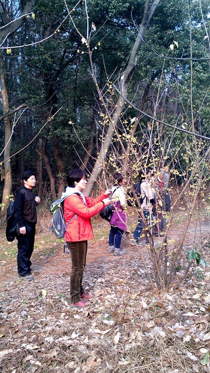 img_20150110_135034.jpg