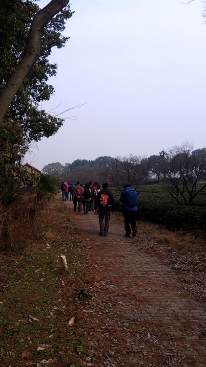 img_20150110_135055.jpg