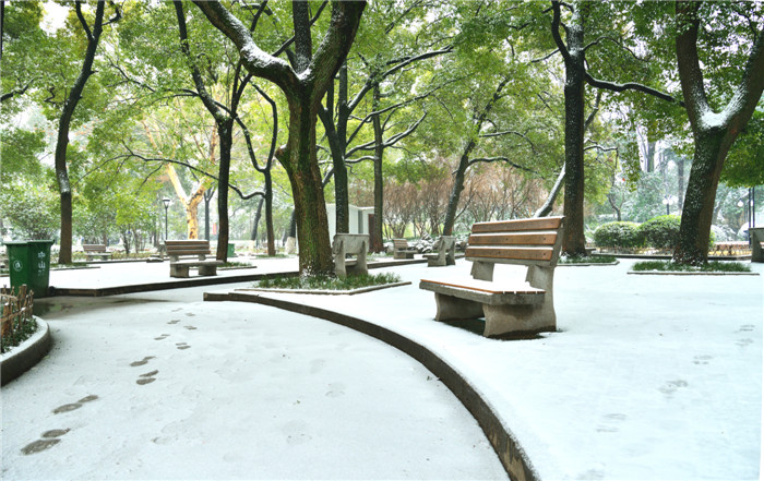 dsc_6032_.jpg