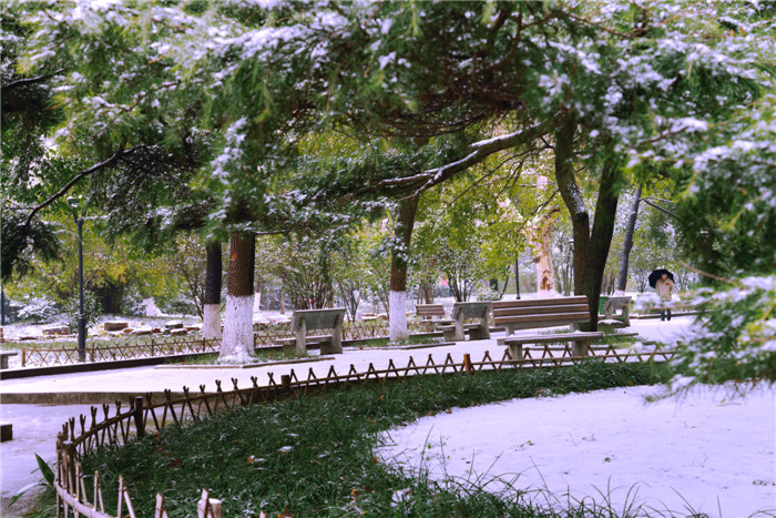 dsc_6082_.jpg