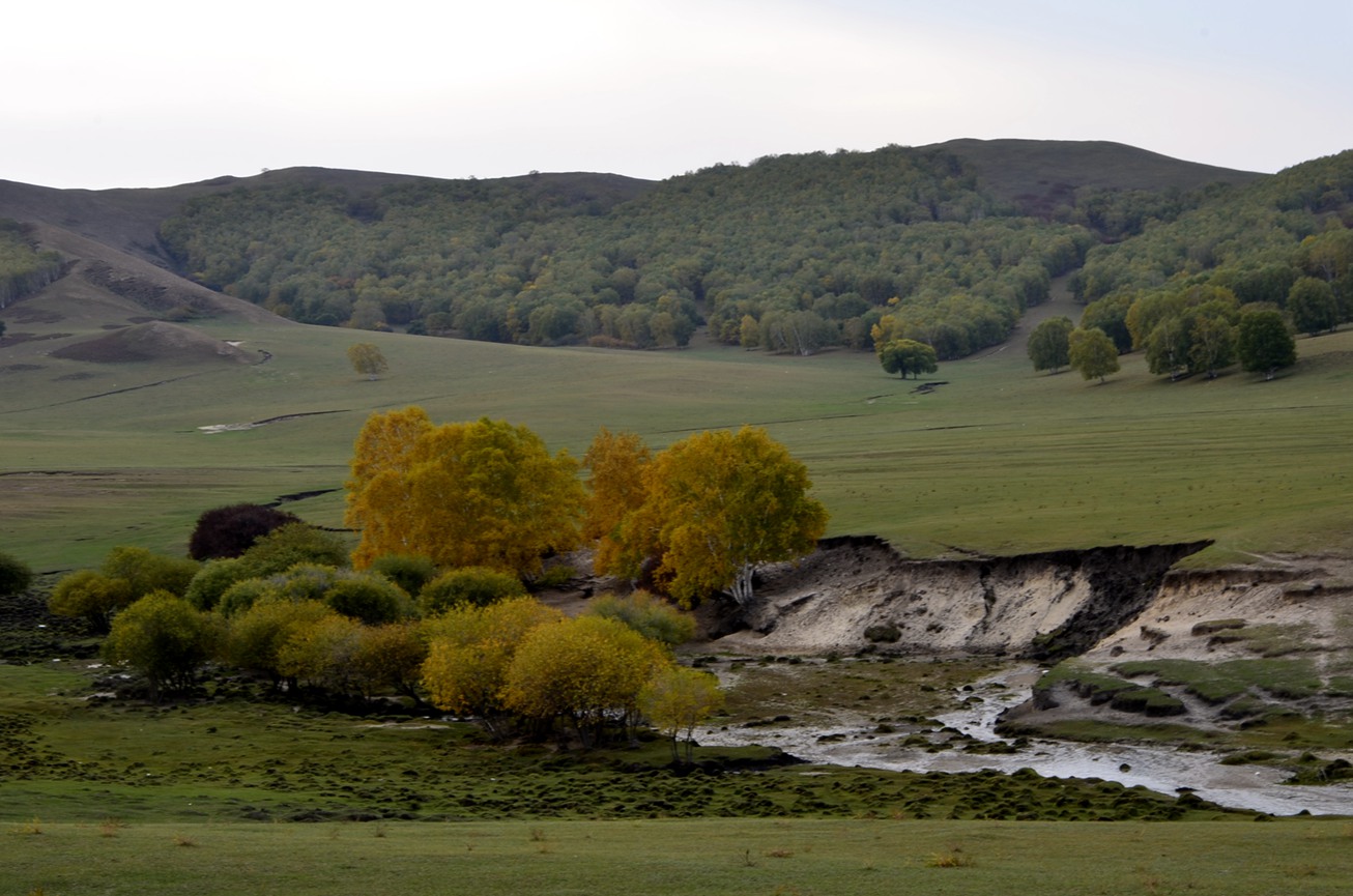 _dsc2380.jpg