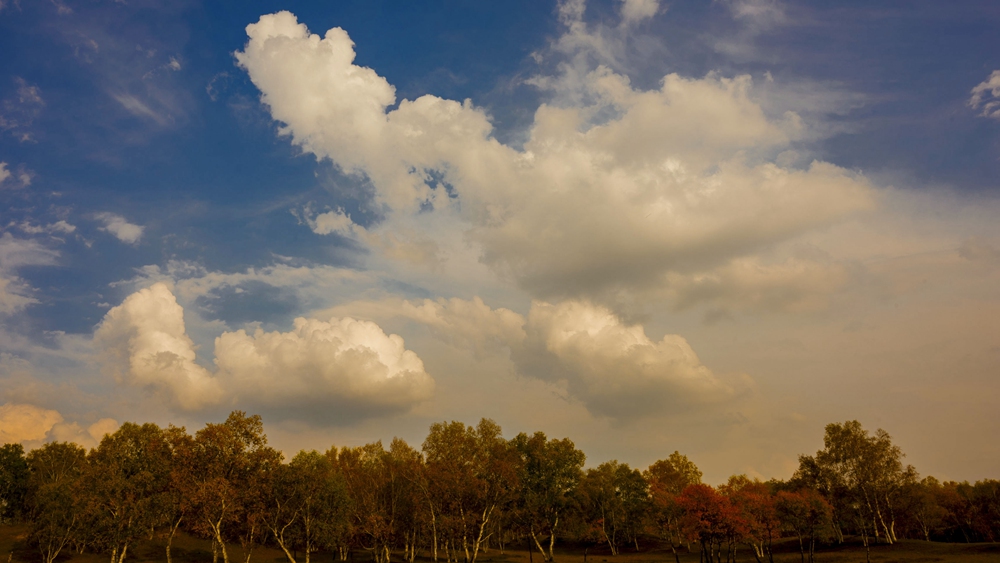 dsc_4947.jpg