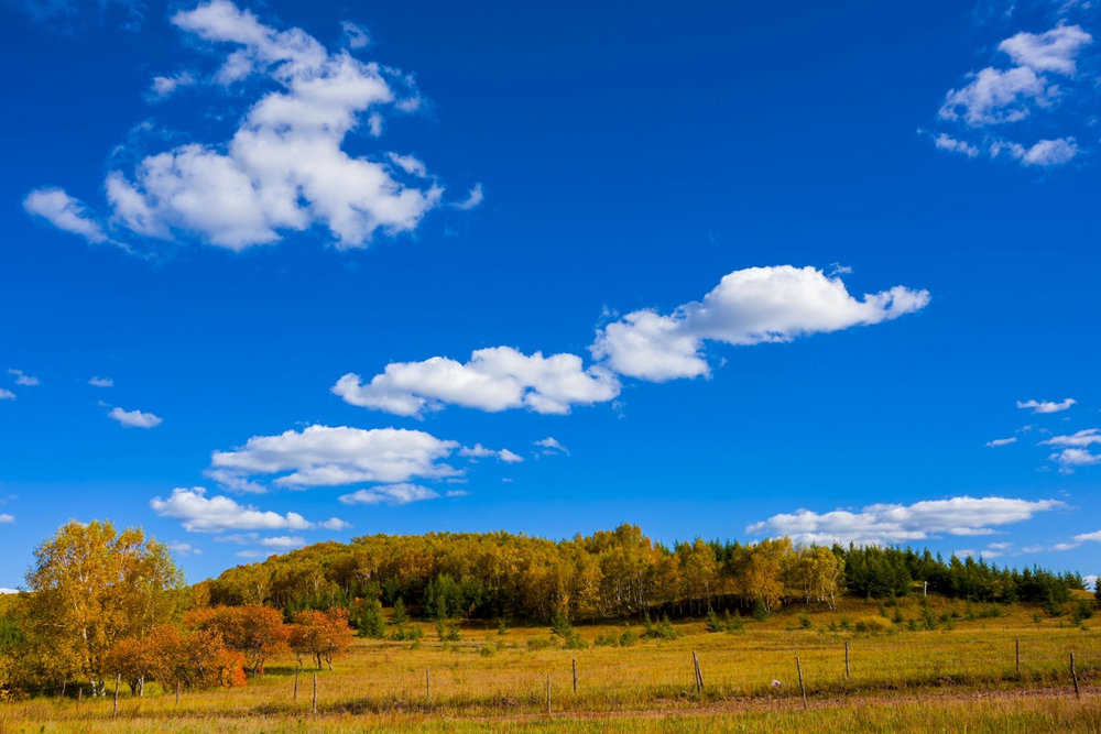 dsc_5045a.jpg