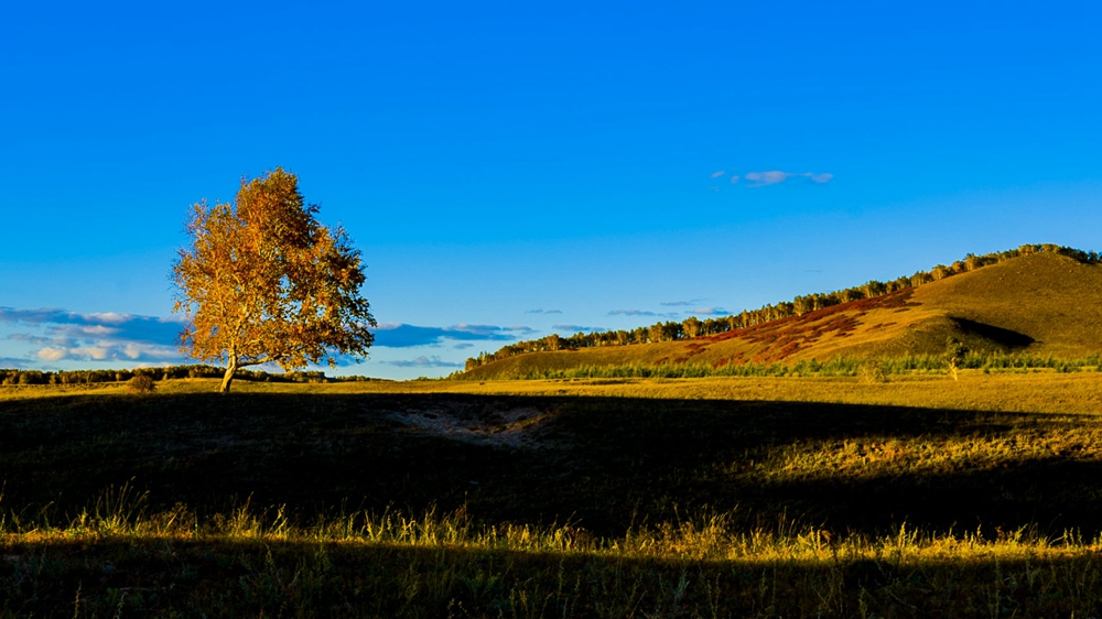 dsc_5115.jpg