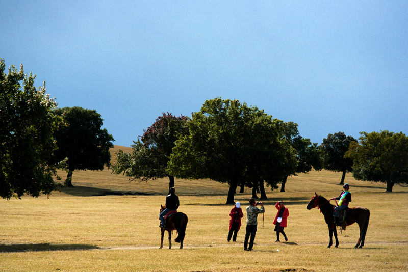 _sam5827_����.jpg