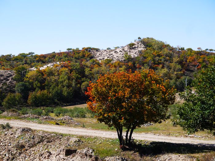 p1200992_����.jpg