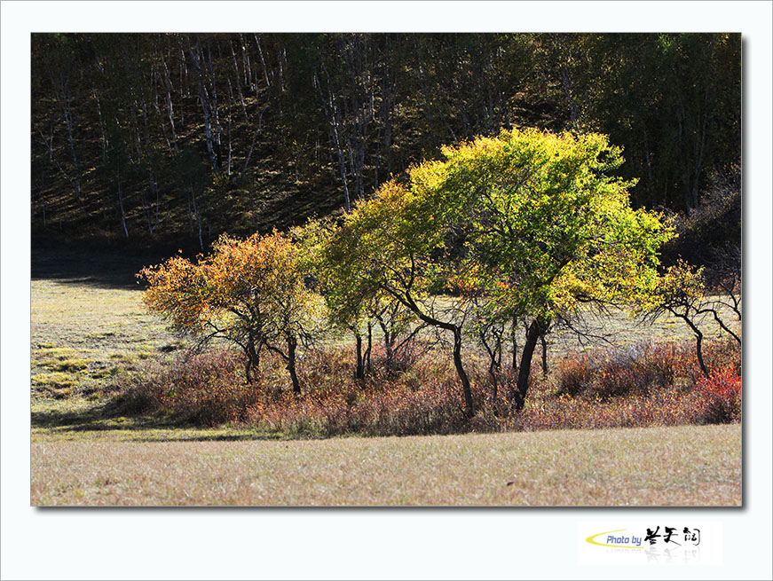 img_1743,.jpg