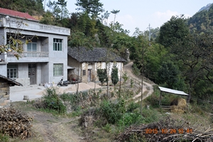 dsc_1086_neo_img.jpg