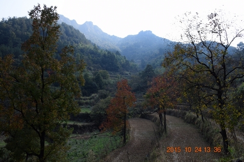 dsc_1082_neo_img_neo_img.jpg