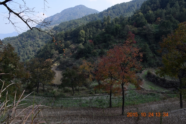 dsc_1079_neo_img.jpg