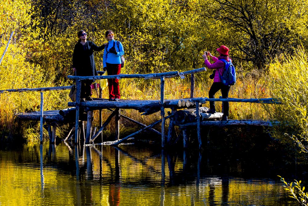 dsc_4638.jpg