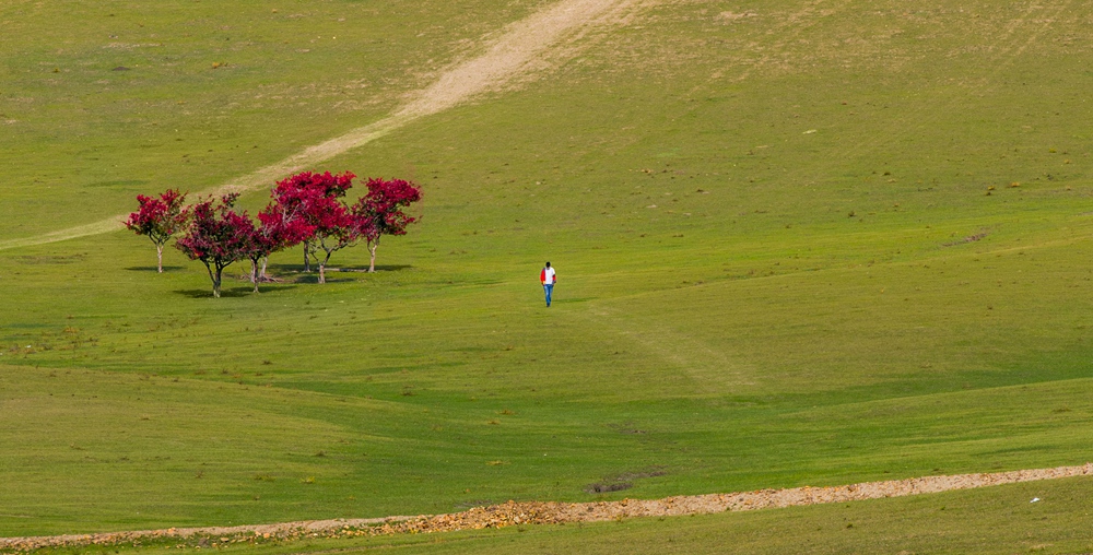 dsc_4876.jpg