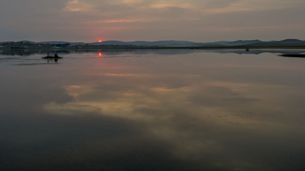dsc_4882.jpg