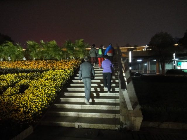 dsc07882.jpg