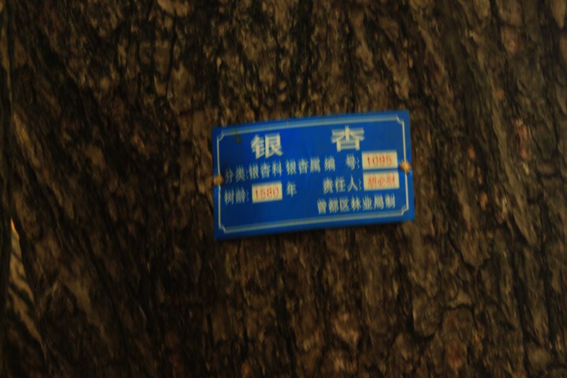 img_0170.jpg