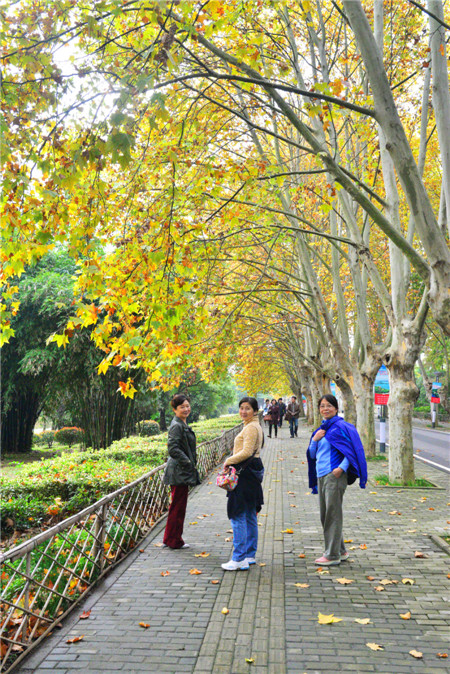 dsc_0213__.jpg