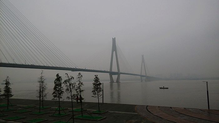 img_20151114_094200.jpg
