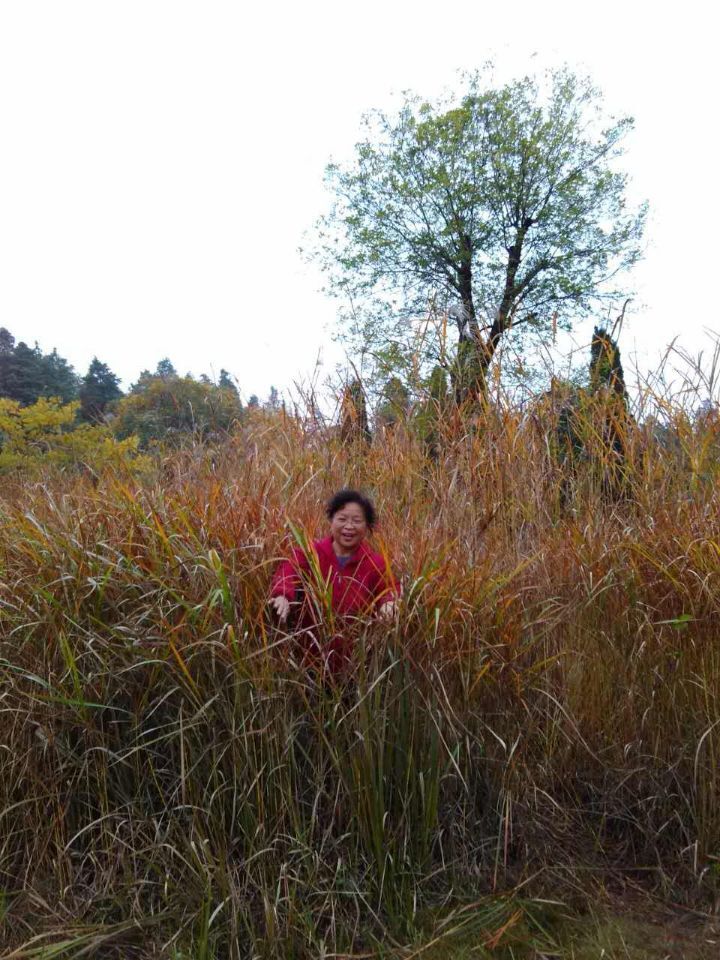 qqͼƬ20151123101911.jpg