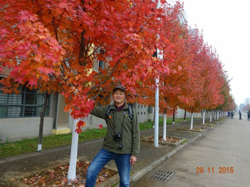 qqͼƬ20151130090158.jpg